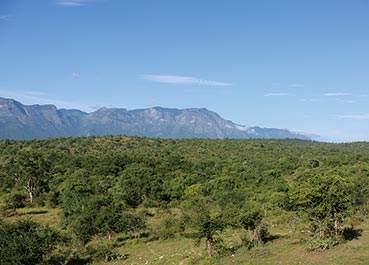 ムドゥマライ国立公園の遠景