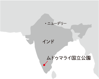 ドール調査地・ムドゥマライ国立公園
