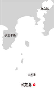 東京都御蔵島: 島の周りには約120頭の野生のイルカがいる