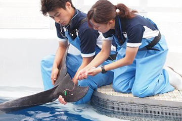 京都水族館