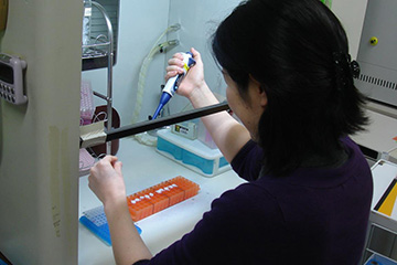 PCR増幅：試薬の調整