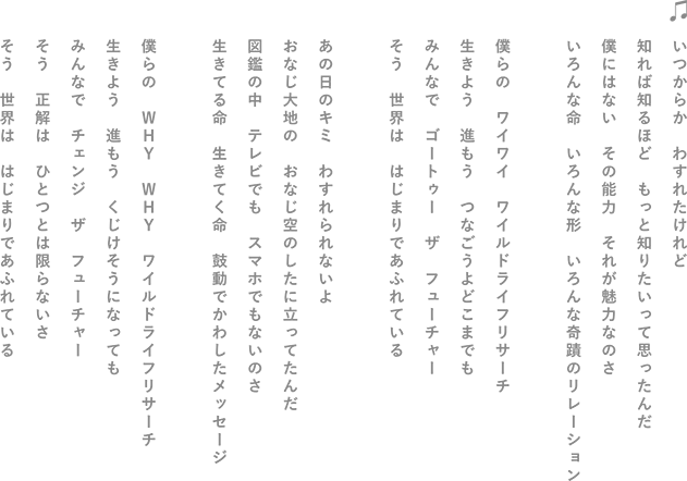 image--about-03