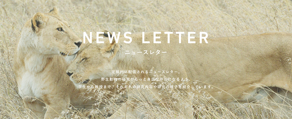 定期的に配信されるニュースレター。野生動物の研究がもっと身近な存在になるよう、学生から教授まで、それぞれの研究内容を紹介していきます。