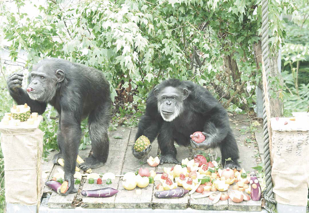 熊本サンクチュアリでの動物福祉研究