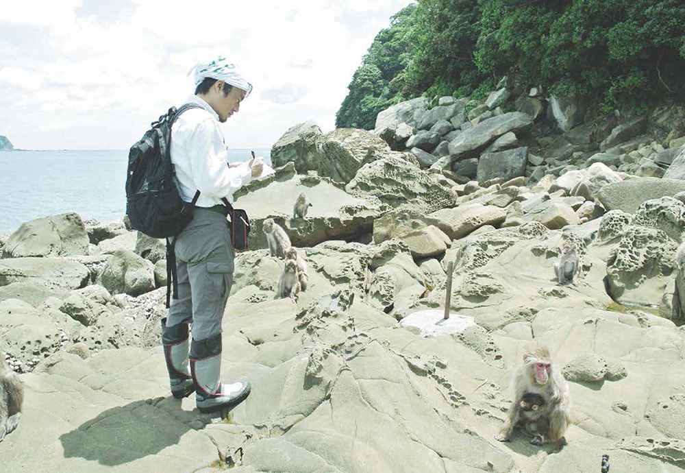 幸島の野生ニホンザルの長期研究