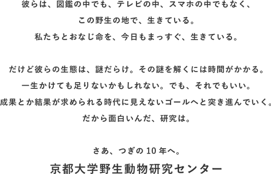 さあ、つぎの10年へ。京都大学野生動物研究センター