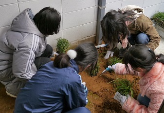 環境エンリッチメントのための植栽を植える作業。