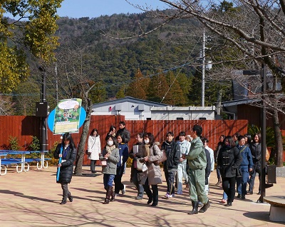 実際にシマウマたちに会うために園内見学に出発