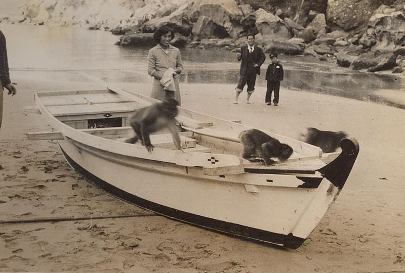 進水式の研究舟（１９５５年１２月４日）