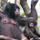 Bonobos