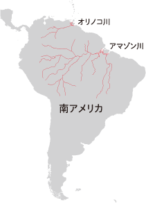 音声から探 さぐ るアマゾンカワイルカの水中行動 京都大学野生動物研究センター