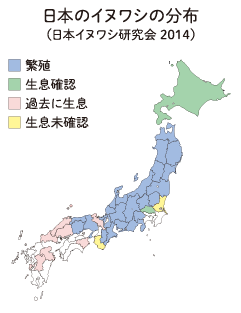 遺伝子 いでんし から見るニホンイヌワシの多様性 たようせい と保全 ほぜん 京都大学野生動物研究センター