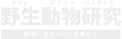 野生動物研究 動物に魅 み せられた若者 わかもの たち 京都大学野生動物研究センター