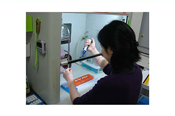 PCR増幅：試薬の調整