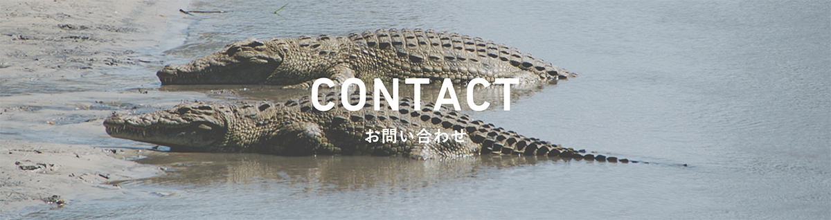 contact