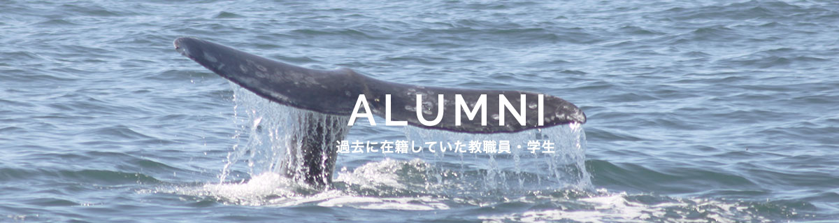 過去に在籍していた教職員・学生