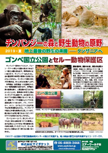 チンパンジーの森と野生動物の原野