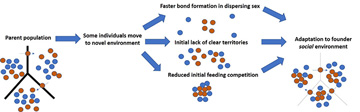 Illustration of founder sociality hypothesis