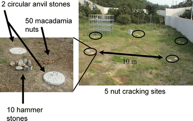 Experimental arrangement used in the group test
