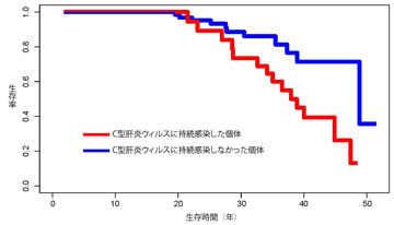 C型肝炎ウィルスの持続感染の有無による生存時間の差