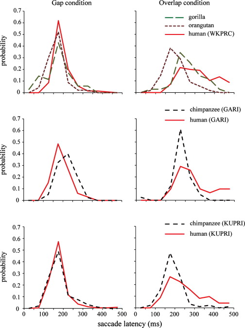 The visual strategy specific to humans among hominids: A study using the gap-overlap paradigm