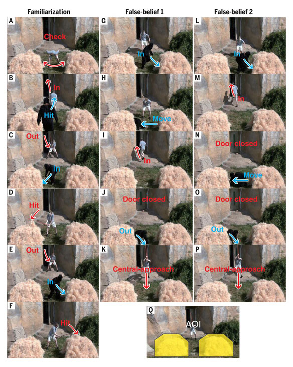 Fig. 1. Events shown in experiment one.