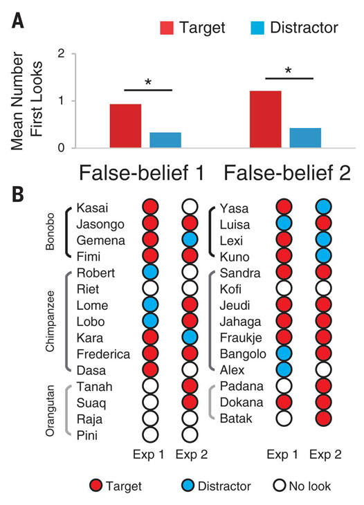 Fig. 3. Apes’ performance across the two experiments.
(A)