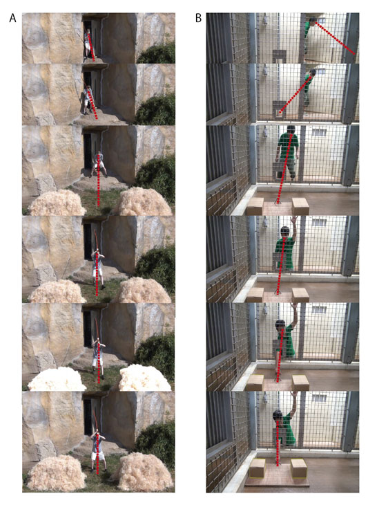 Supplementary figure1: Gaze control in the videos