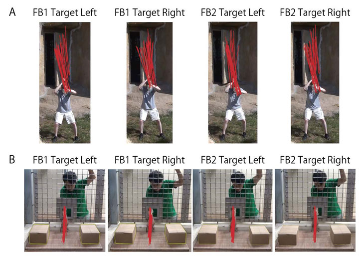 Supplementary figure2: Action control in the videos