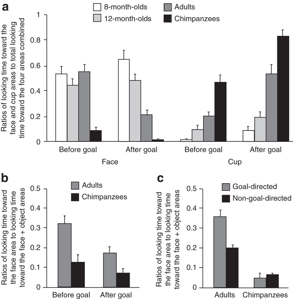 Humans and chimpanzees attend differently to goal-directed actions