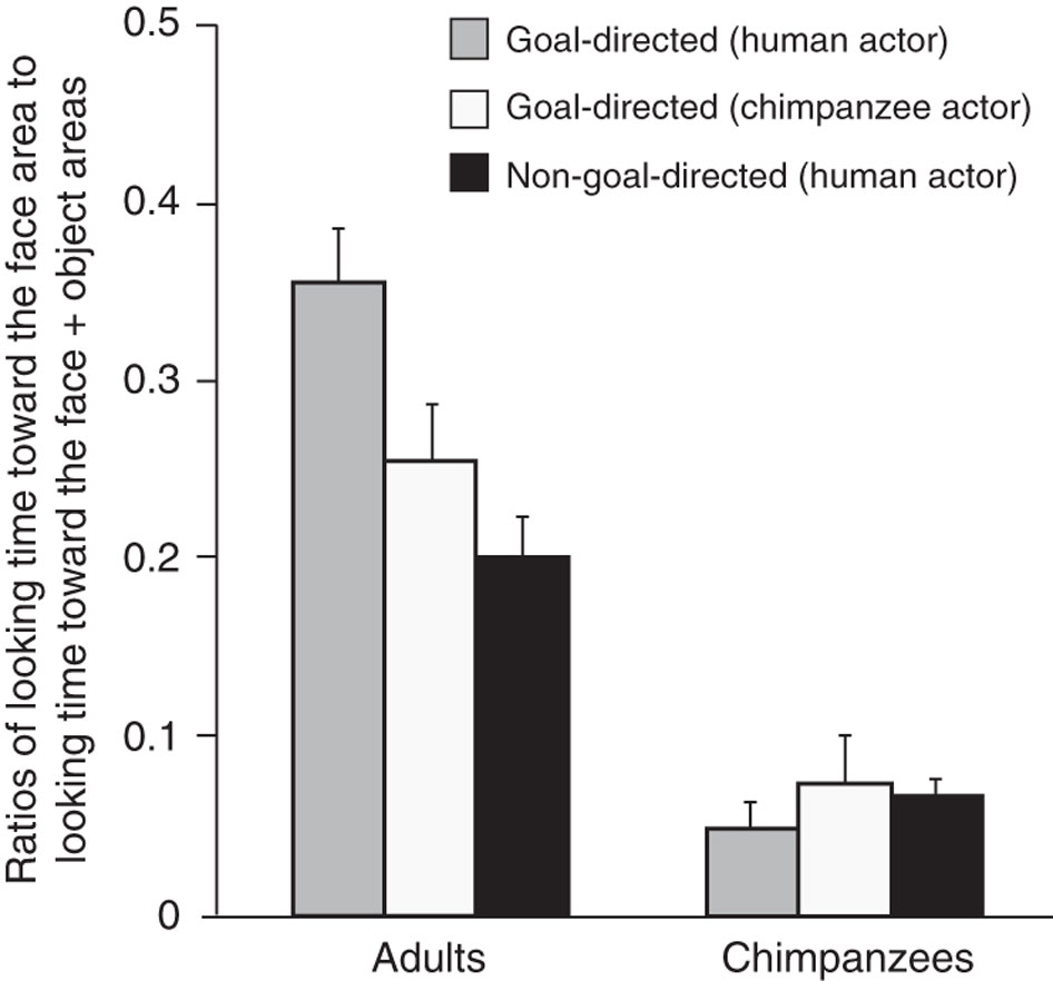Humans and chimpanzees attend differently to goal-directed actions