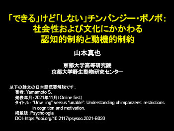 「できる」けど「しない」チンパンジー・ボノボ