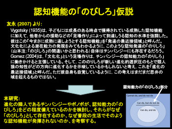 認知機能の「のびしろ」仮説