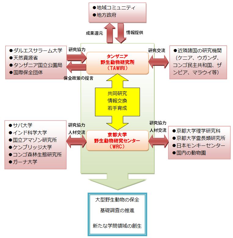 京都大学野生動物研究センター 研究拠点形成事業 B アジア アフリカ学術基盤形成型