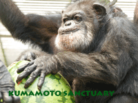 oumu