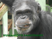 satoru