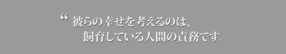 幸せな環境提供する責任