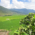 8月29日：プナカの農村風景