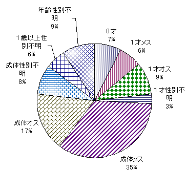 VJ̐N\