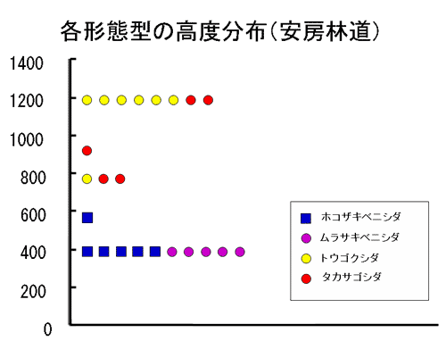 }PT@e`Ԍ^ƍx̊֌W-[ѓ