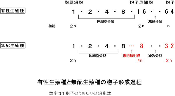 V_AɂLBƖzB̖Eq`ߒ