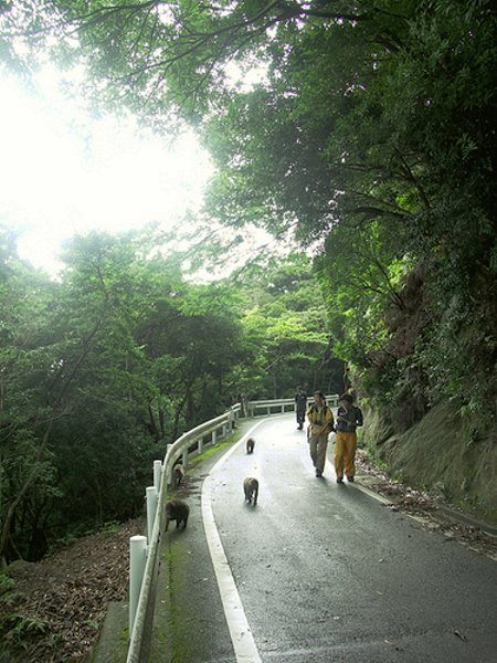 image0002