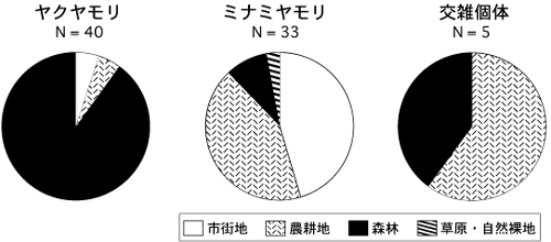 L^ꂽn_̓ynp^Cv̔r
